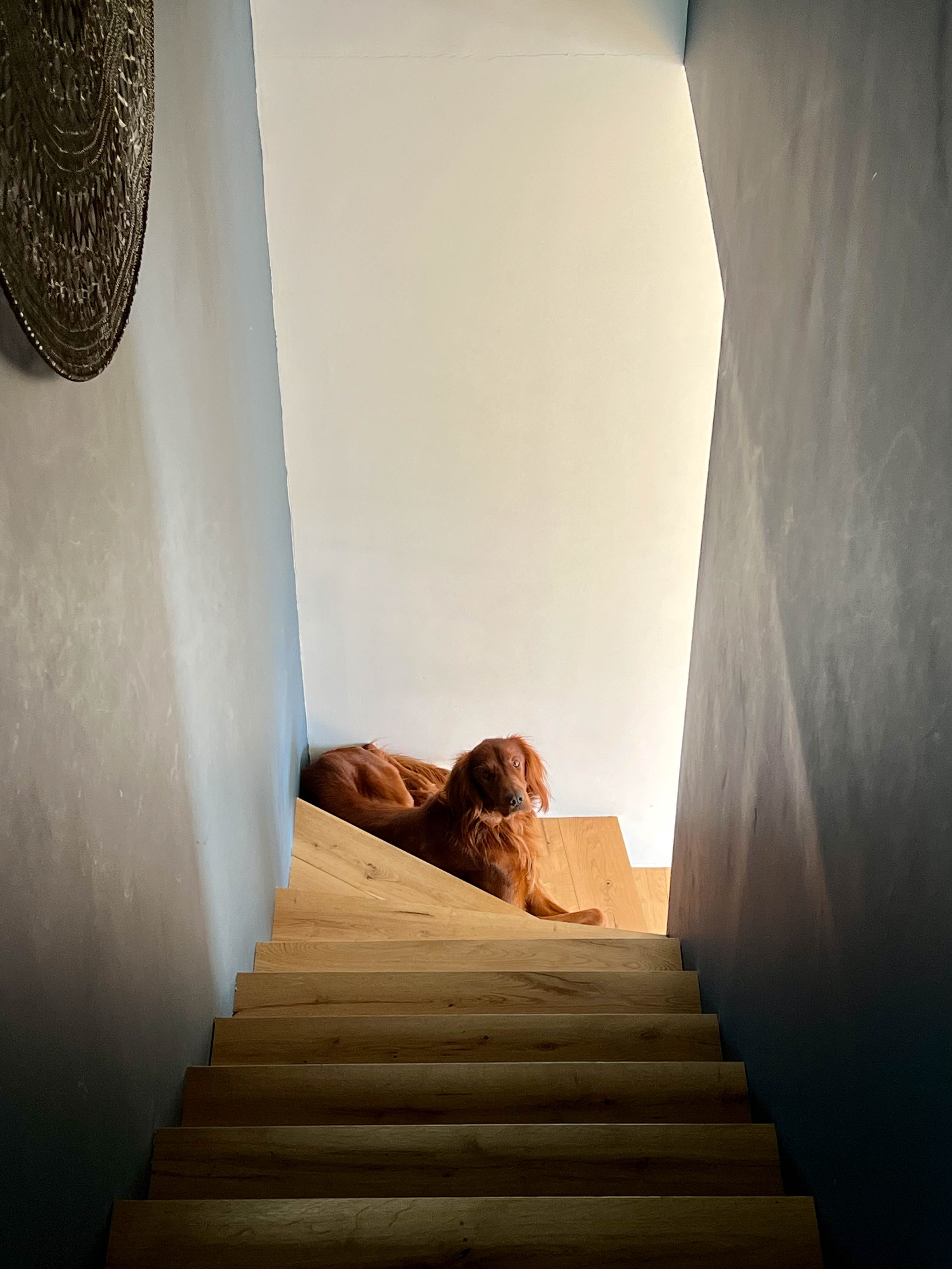 Projet Rao 78 - Celine Exposto - Decoratrice d interieur - Paris IDF - escalier